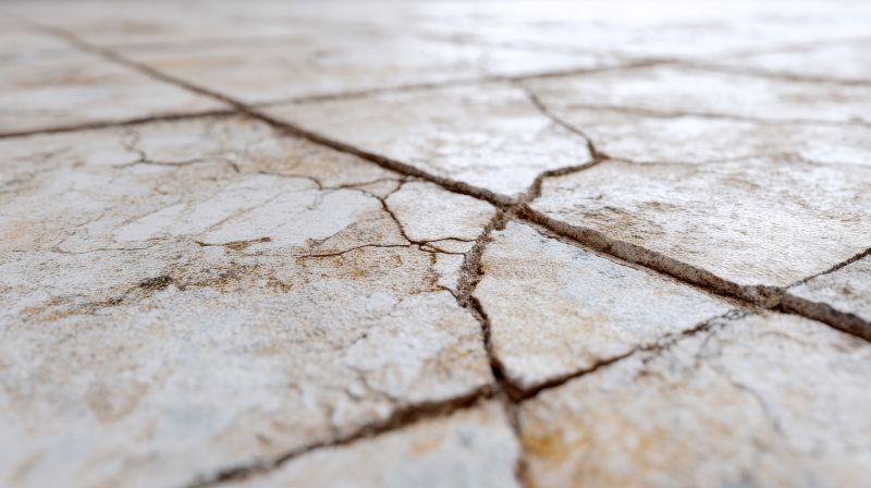 Terrazzo Tile Repair in Kansas City, KS